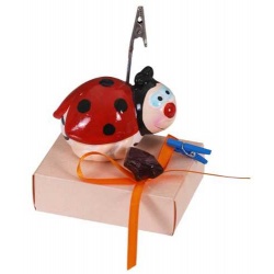 CAJA MARIQUITA PORTAFOTO SURTIDA C/CARAM