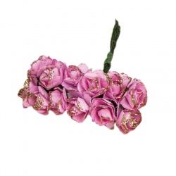 B/12 POM. C/12 ROSAS BRILLO ROSA