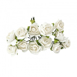 BOLSA 12 POMOS ROSAS COLOR BLANCO PQE