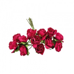 BOLSA 12 POMOS ROSAS PQE. COLOR ROJO