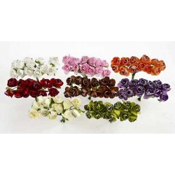 Bolsa 12 pomos con rosas brillo surtidas