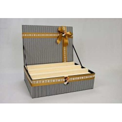 Presentación maletín a rayas