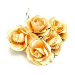 BOLSA 12 POMOS 6 ROSAS NARANJA