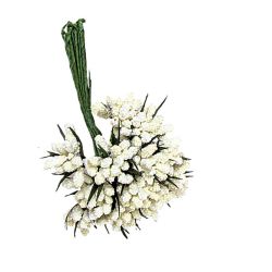 Pom 12 ud-florecillas blanca