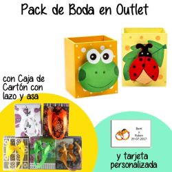 Lapicero con rana y mariquita en caja de cartón con lazo y asas